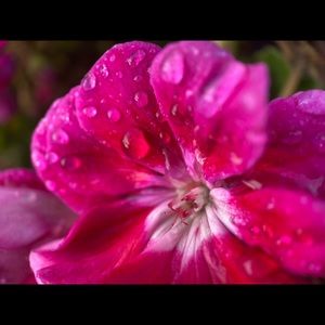 Meet your Posher, Kevin